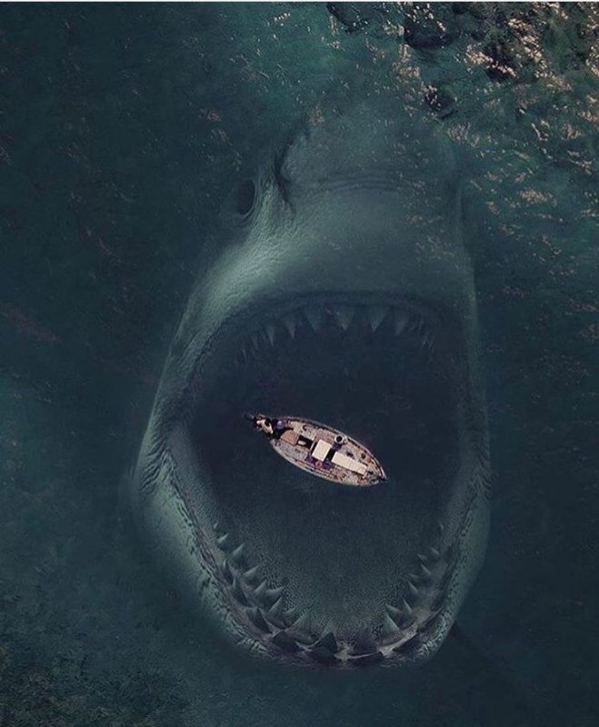 Кархародон МЕГАЛОДОН зубы