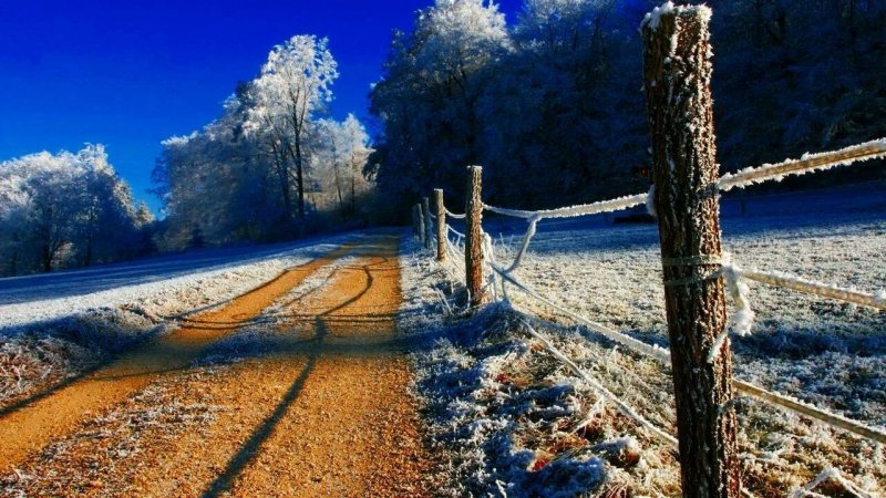 Зимняя природа