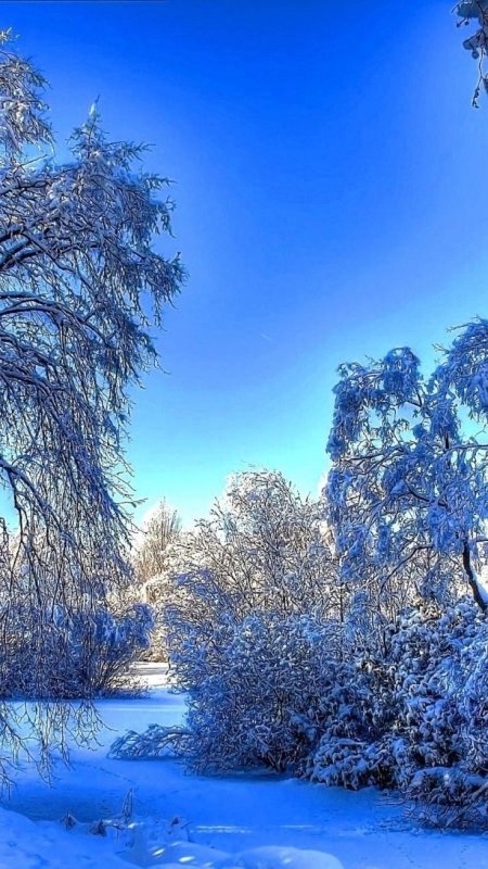 Зимний пейзаж вертикальный