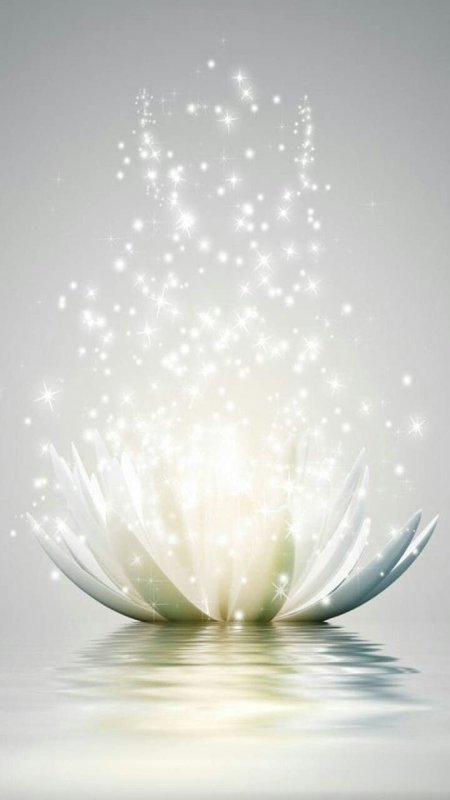 Красивый фон с лотосом