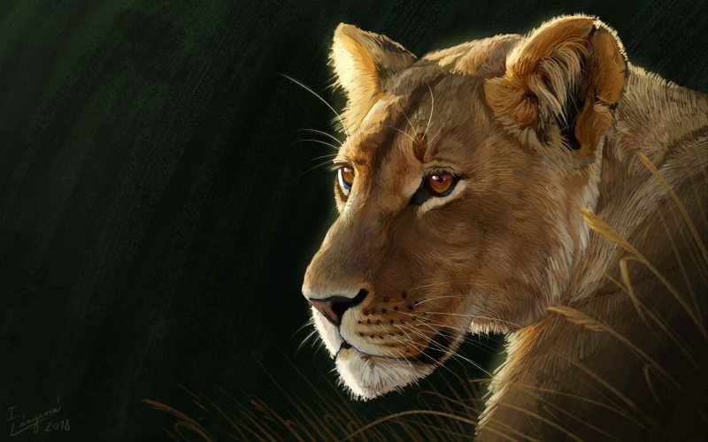 Хищные животные Лев