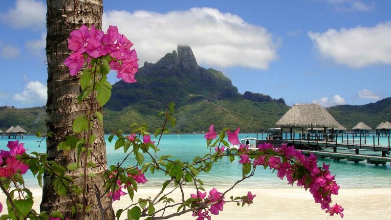 Пхи-Пхи Таиланд