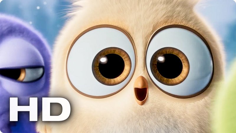 Заставки на телефон прикольные