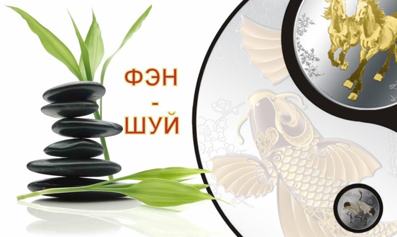 Богатство фэн шуй