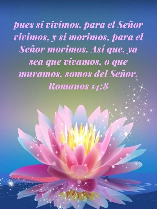 Сказочные цветы