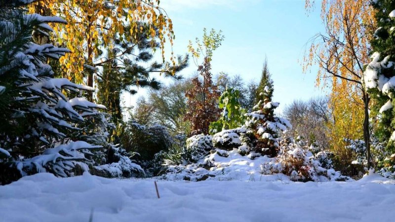 Зимний ландшафт