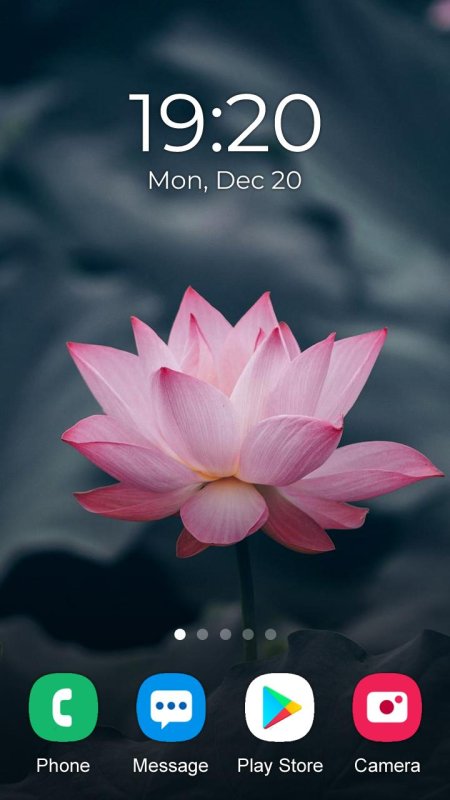 Лотос цветок