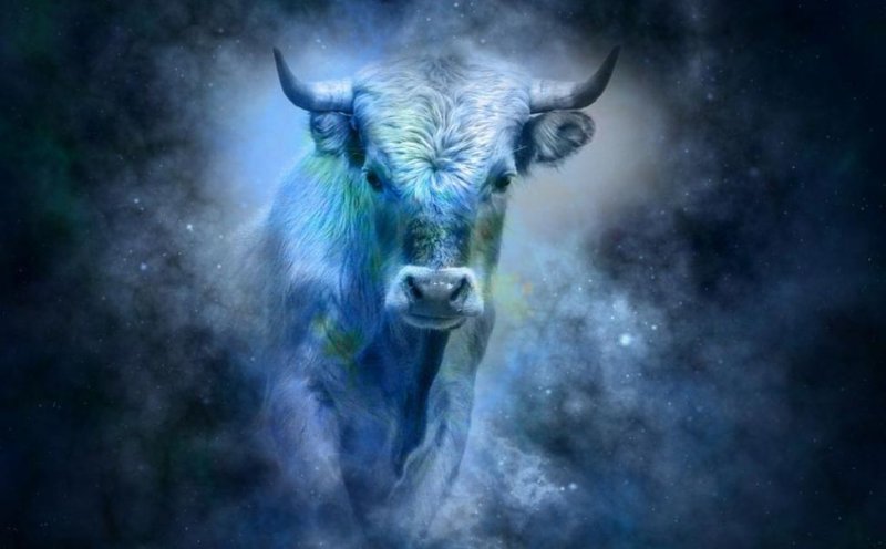 Телец (Taurus) 2022