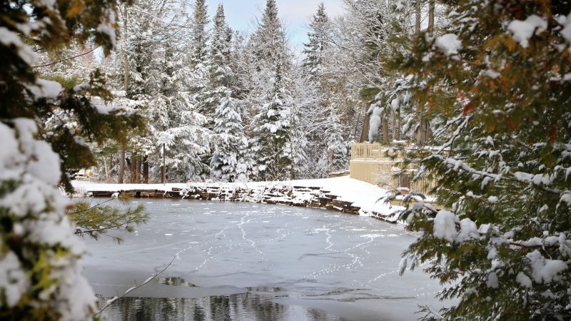 Павловский парк Павловск зима