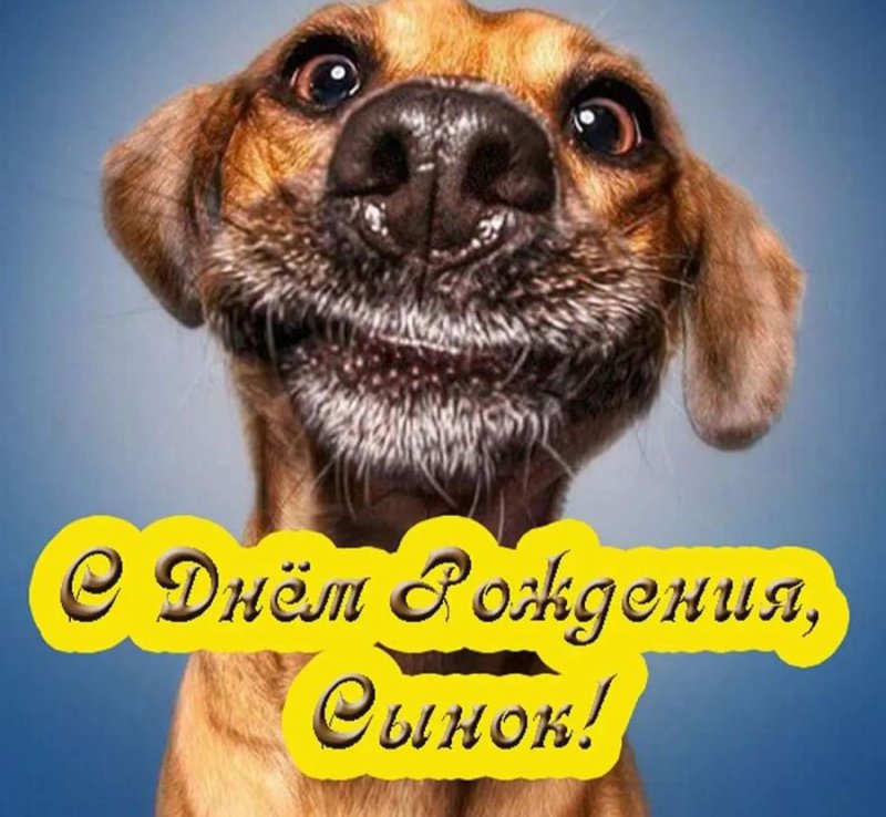 Поздравления с днём рождения сы