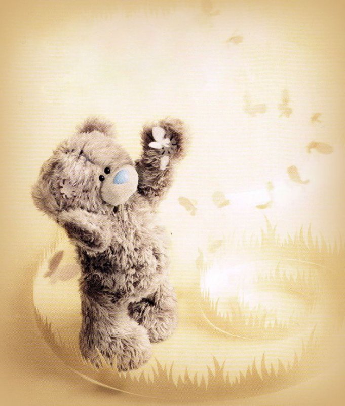 Мишка Тедди