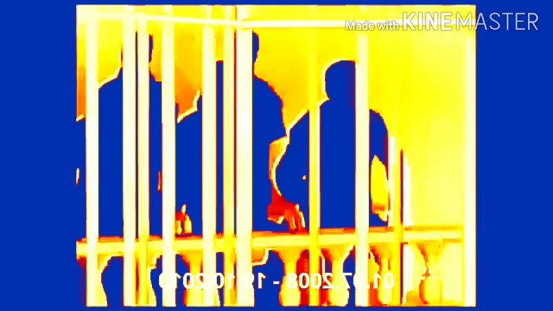 Суд присяжных НТВ 2008