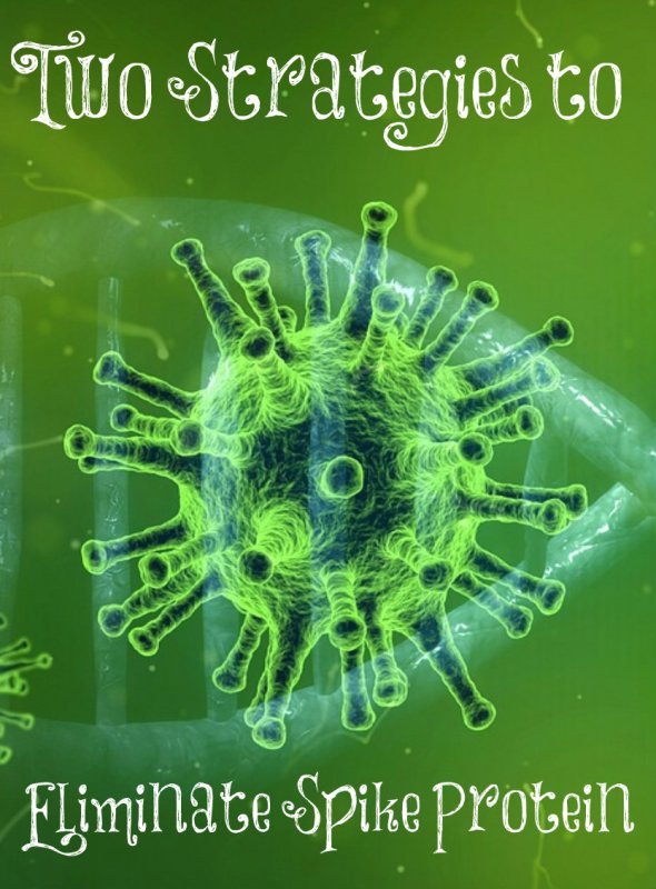 Вирус обои на телефон