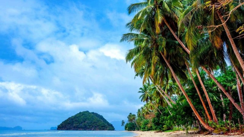 Филиппины Пальма