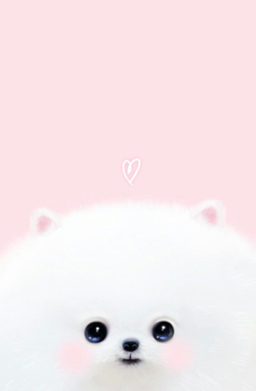 Самые красивые и милые обои