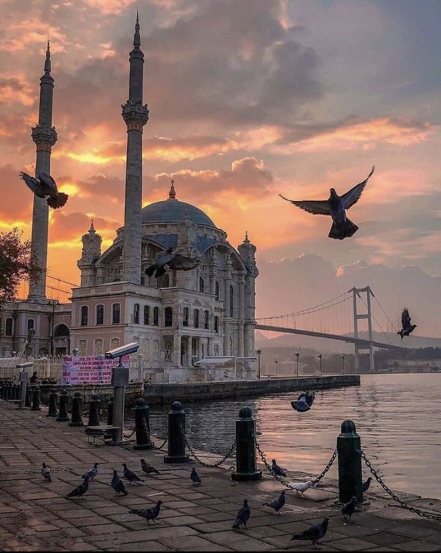 Турция Эстетика Истамбул