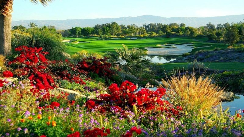 Пейзаж цветы