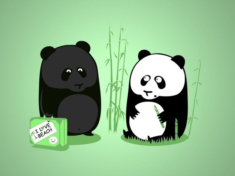 Обои на телефон Панда