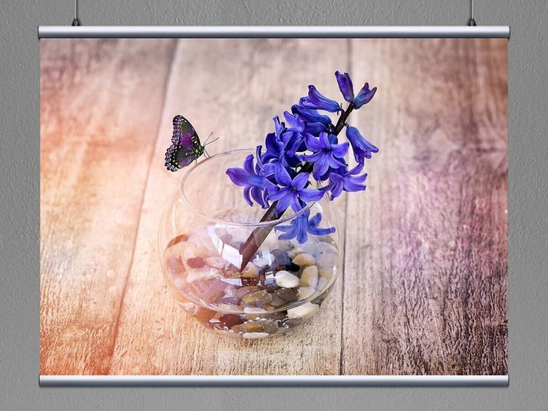 Синие весенние цветы