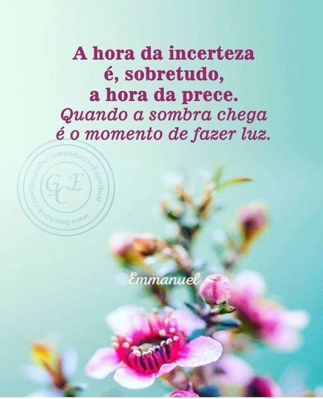 Фон на телефон красивые