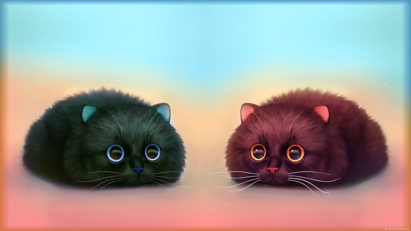 Котик рисунок