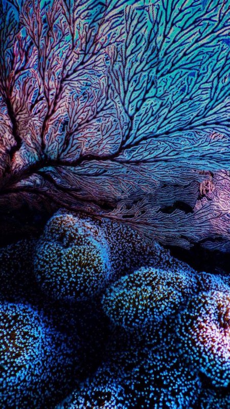 Необычные заставки