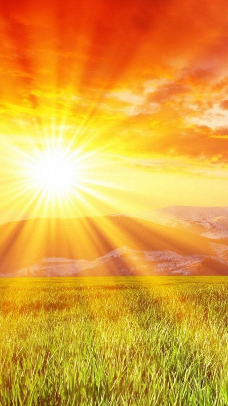 Солнечный день