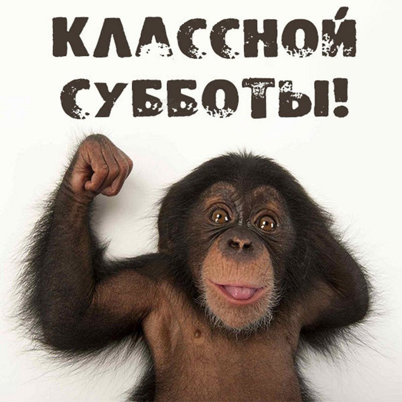 С субботой прикольные