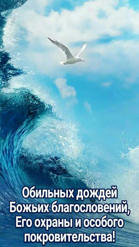 Моря и океаны