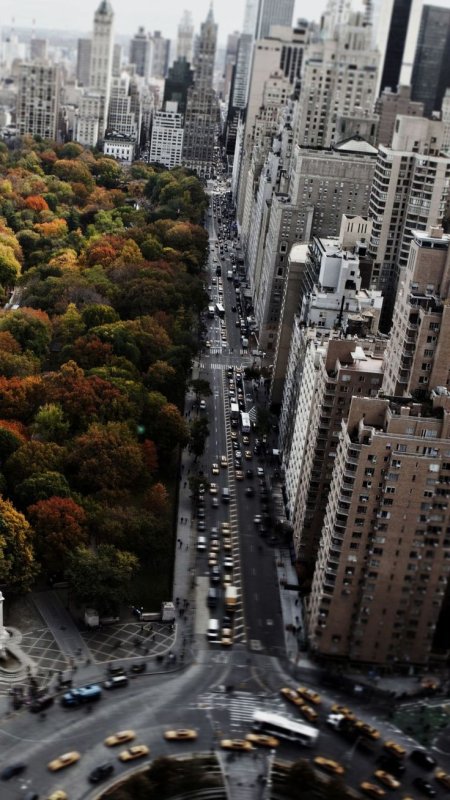 Нью-Йорк Сити