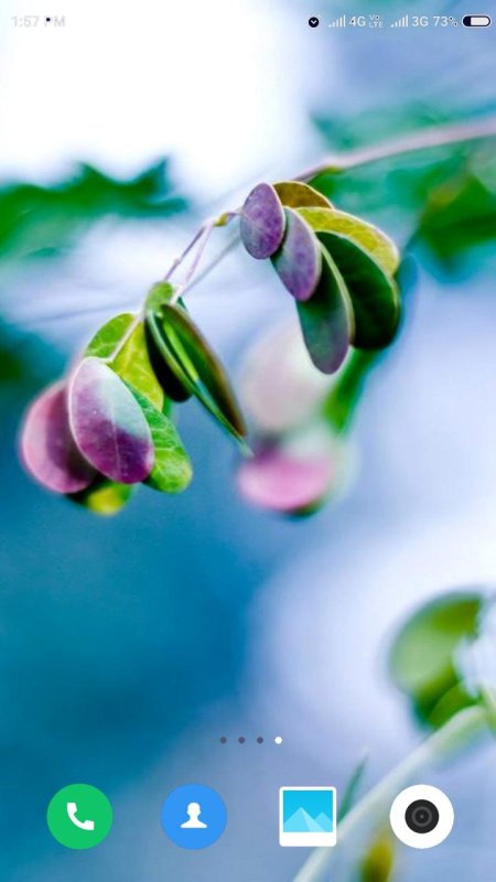 Макросъемка природа