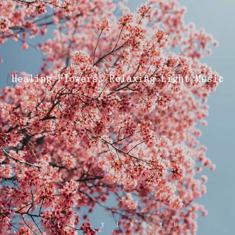 Весна Сакура