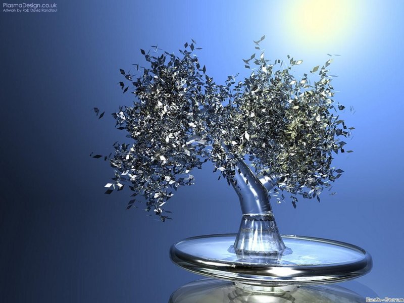 Денежное дерево на рабочий стол