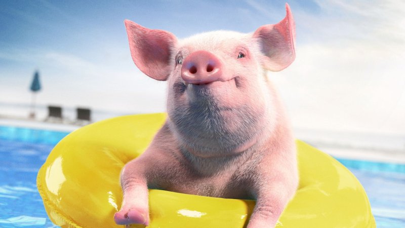 Надувной круг Свинка