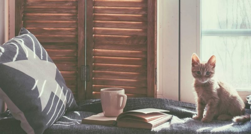 Уютные обои на рабочий стол