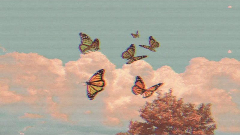 Бабочки Эстетика инди КИД