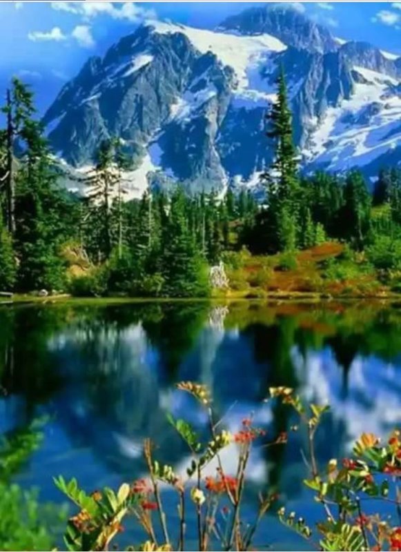 Табиат манзараси