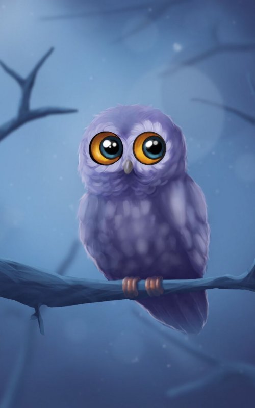 Сова арт