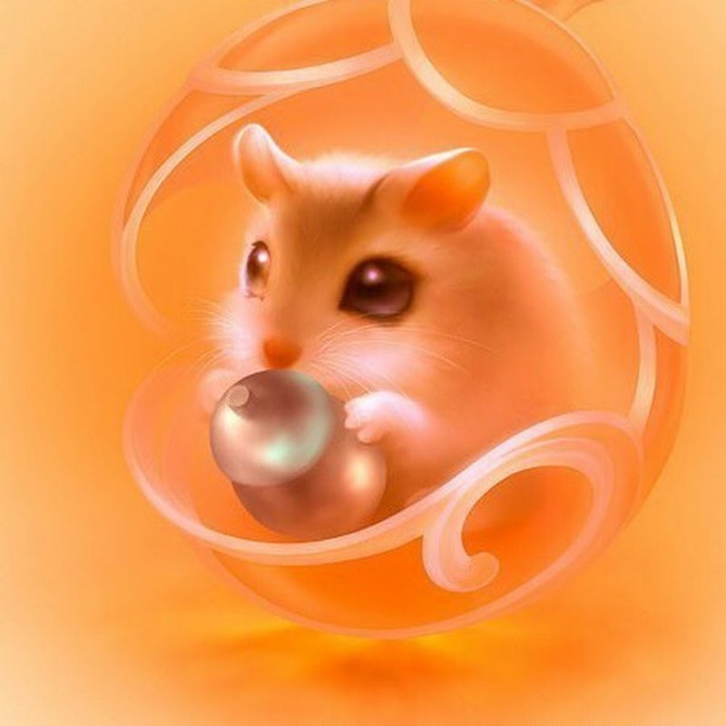 Обои с хомяками