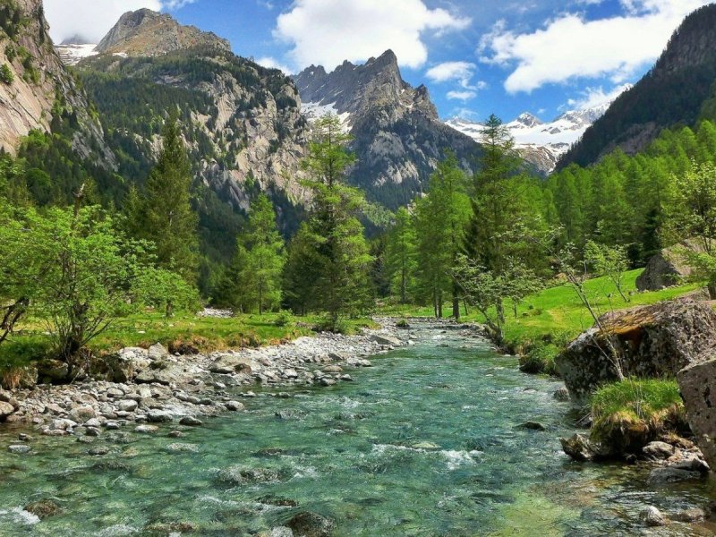 Горный ручей Узбекистан