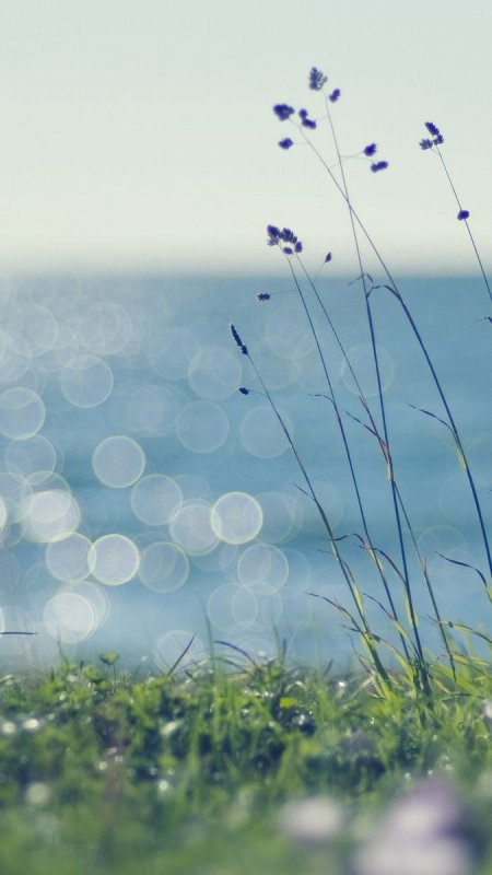 Пейзаж светлый