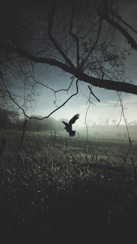 Мрачное одиночество