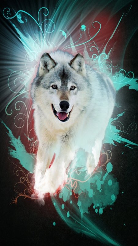 Волк классный