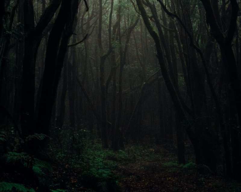 Хью Уолпол темный лес