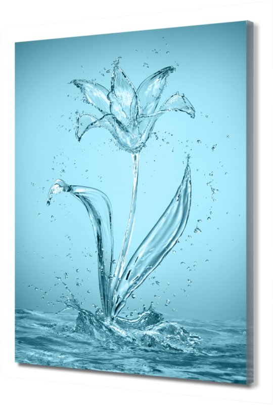 Цветок из воды