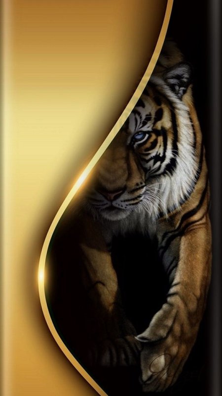 Картины на телефон