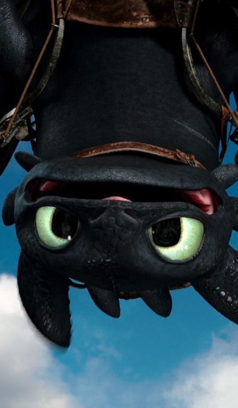 Беззубик дракон мультфильм