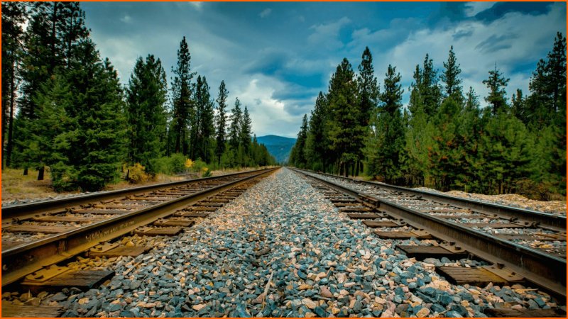 Лесонасаждения ЖД