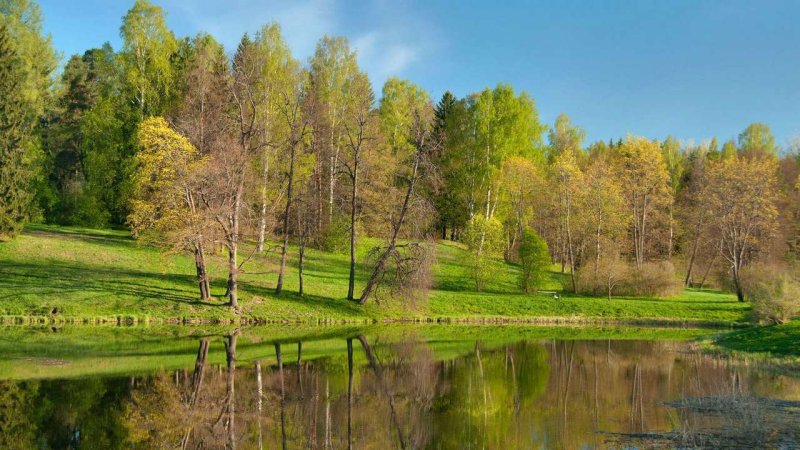 Весенняя природа