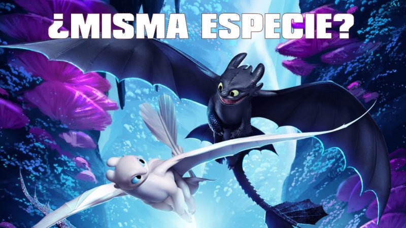 Ночная фурия дракон мультфильм